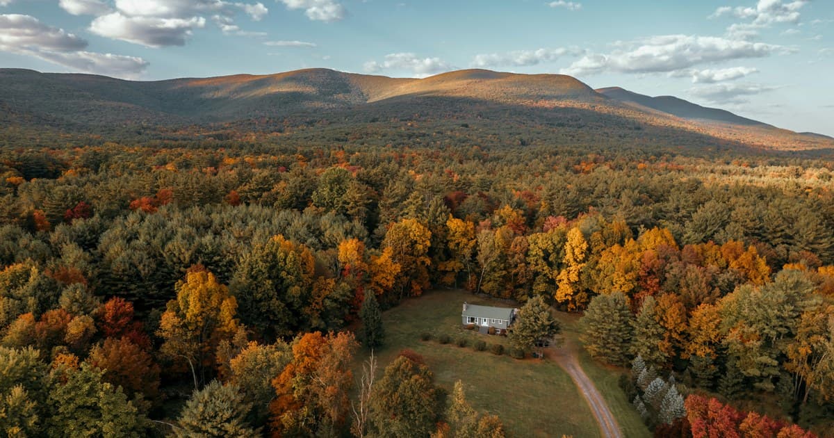 How Long Does Cannabis Stay in Your System? Detection Windows Explained