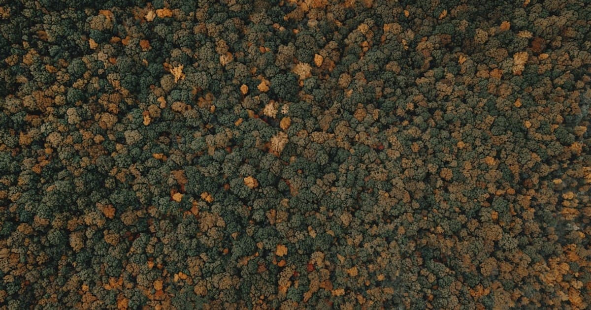 How Long Does a Cannabis High Last? Factors That Affect Duration