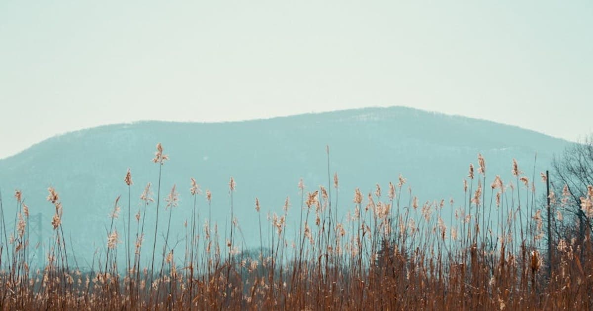 CBN for Sleep: Is It the Next Big Cannabinoid?