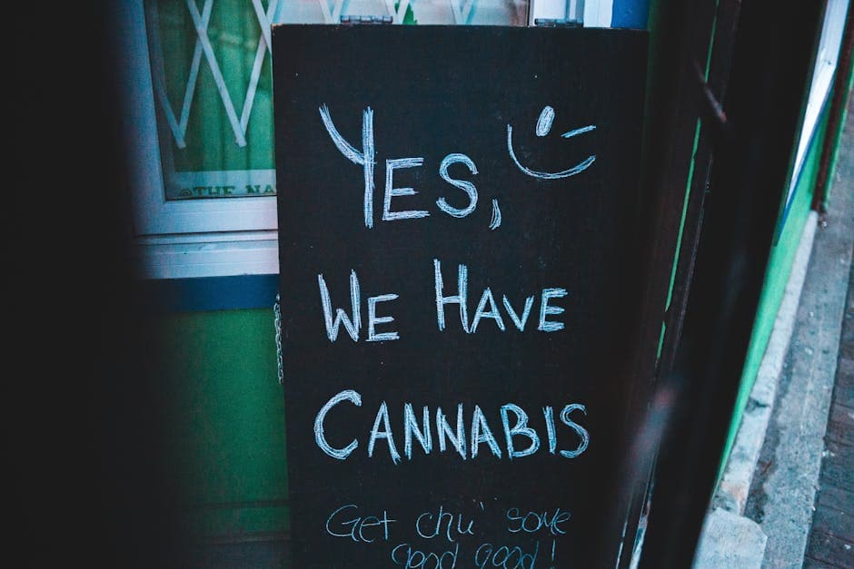 The 420 Origin Story: History, Culture, and the Modern Cannabis Holiday