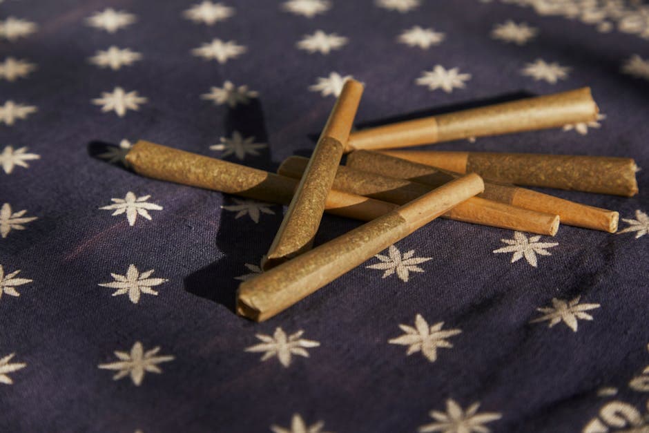 Pre-Rolls Explained: Why They're the Fastest-Growing Cannabis Category