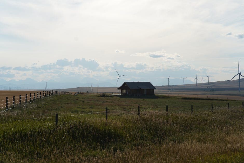 The Farm Bill and Hemp-Derived Products: What Consumers Need to Know