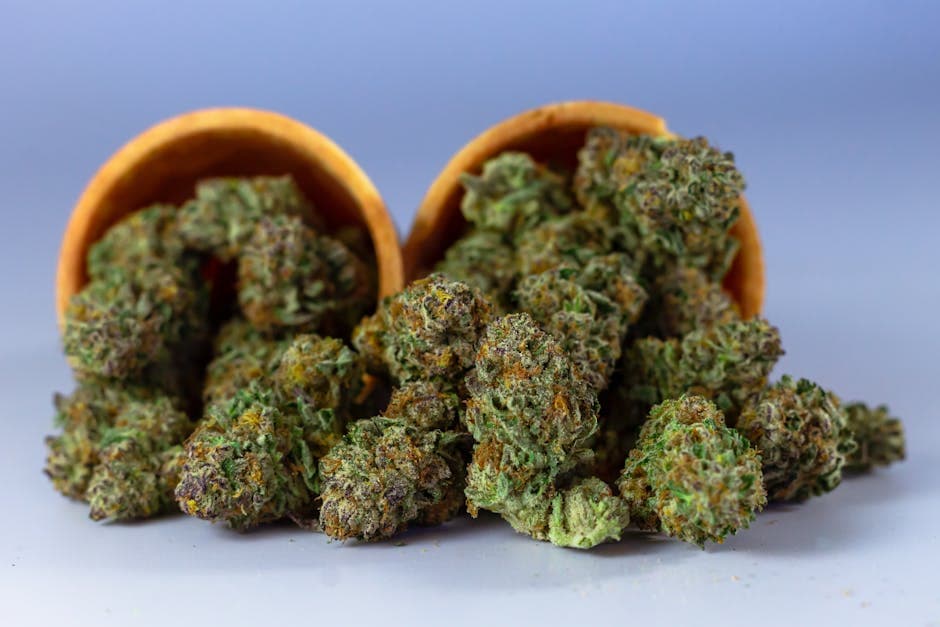 How to Talk to a Budtender: Questions to Ask and Tips for a Better Visit