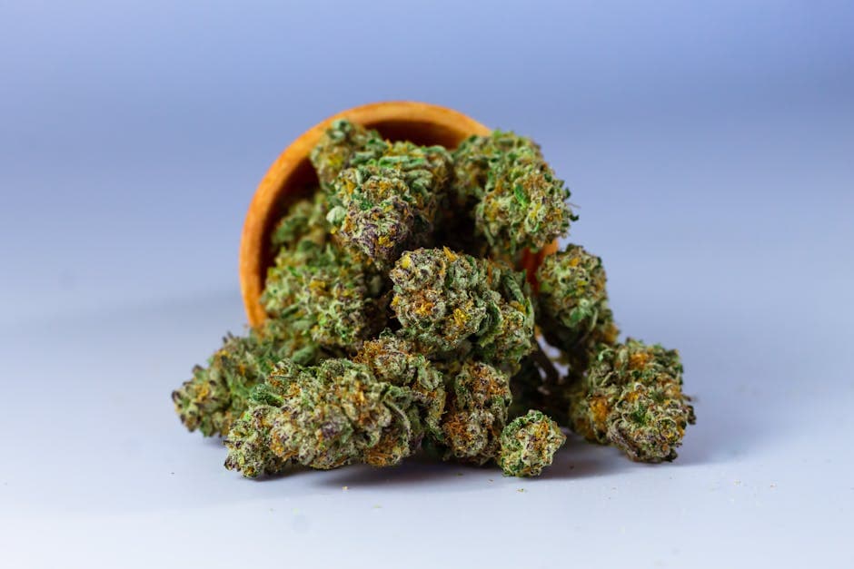 What Are Cannabinoids? A Deep Dive into THC, CBD, CBN, CBG, and More