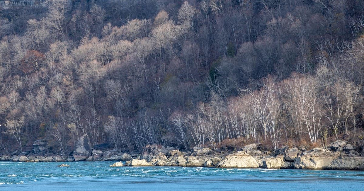 A scenic winter riverbank lined with bare trees and rocky shoreline.