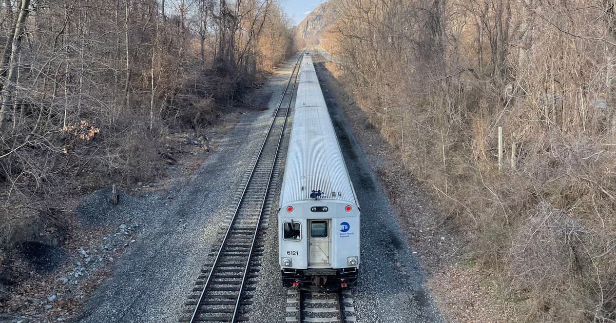 Train traveling through a forested area with bare trees and clear sky. Captured in winter.