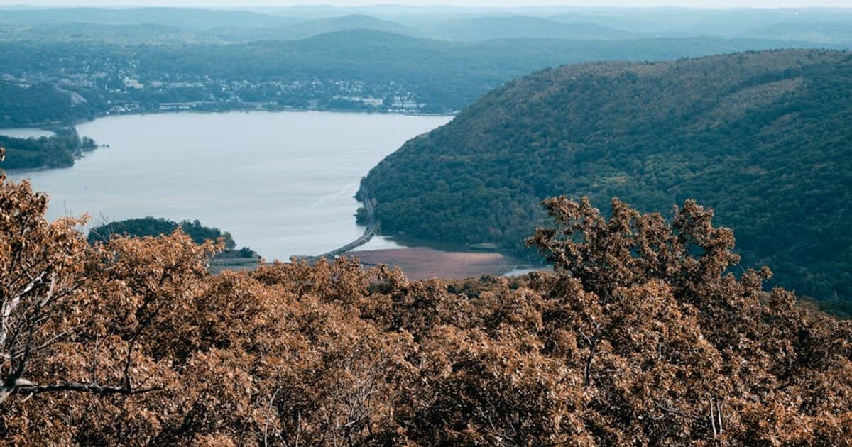 Aerial view of a peaceful lake surrounded by vibrant forests and rolling hills.