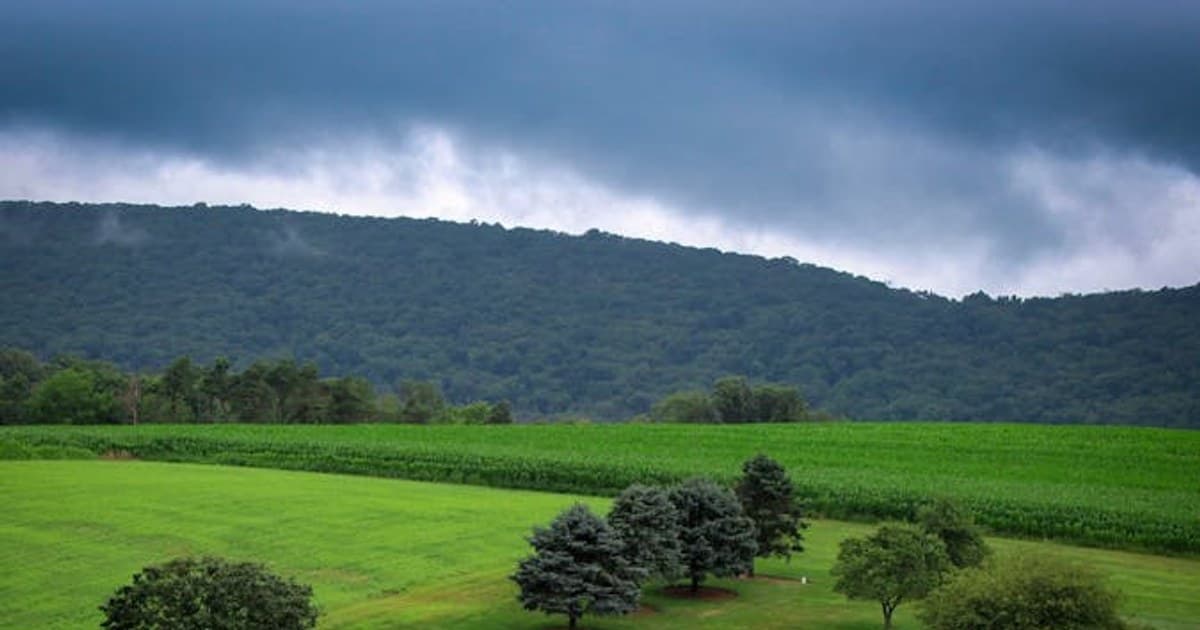 Serene landscape with lush green hills and trees beneath a dramatic cloudy sky.