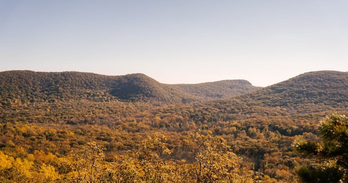 Spectacular view of mounts covered with bright forest under light sky in autumn in daylight