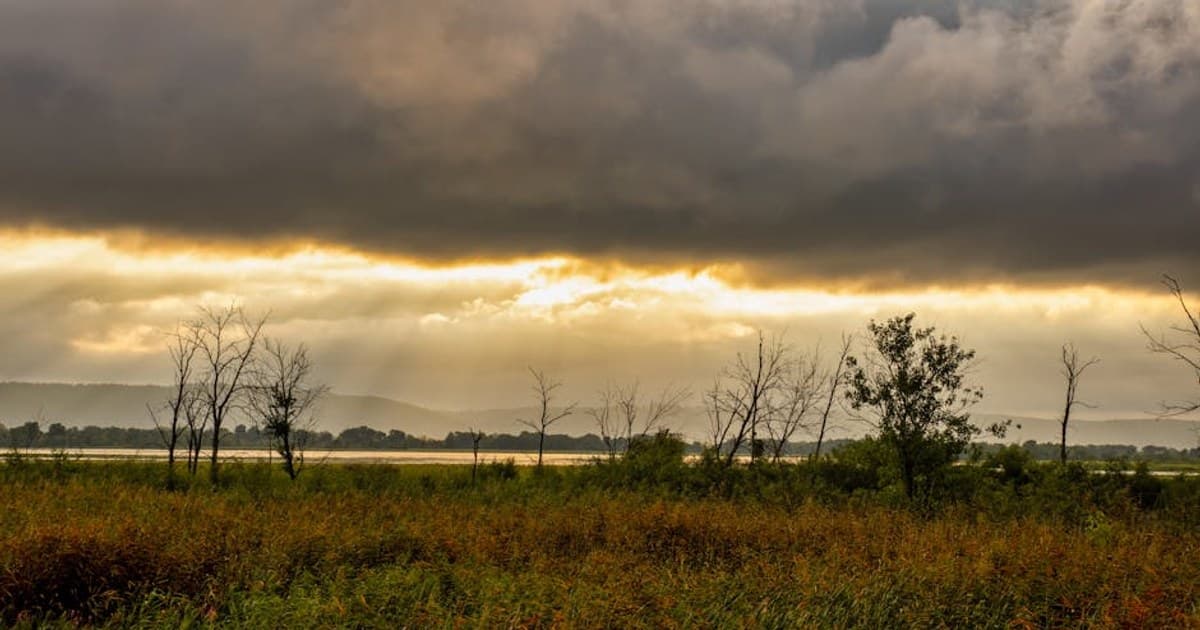 A captivating autumn scene in Weaver, MN with sunrays breaking through clouds over a field.