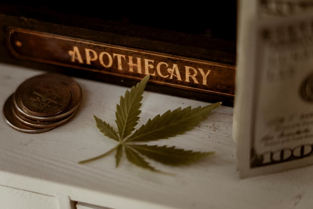 Medical vs. Recreational Dispensaries: Key Differences Explained