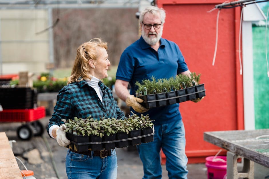 Cannabis for Seniors: A Growing Trend in Wellness and Pain Management