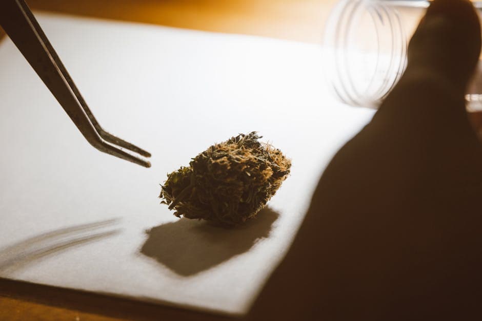 Medical vs. Recreational Cannabis: Is There Really a Difference?