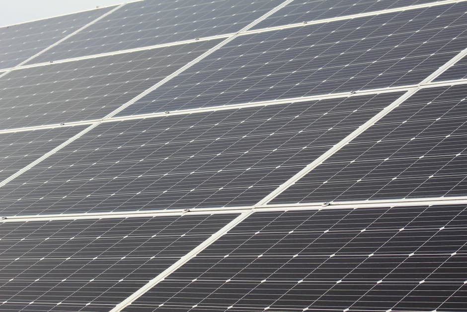 Cannabis and Sustainability: The Environmental Impact of the Industry