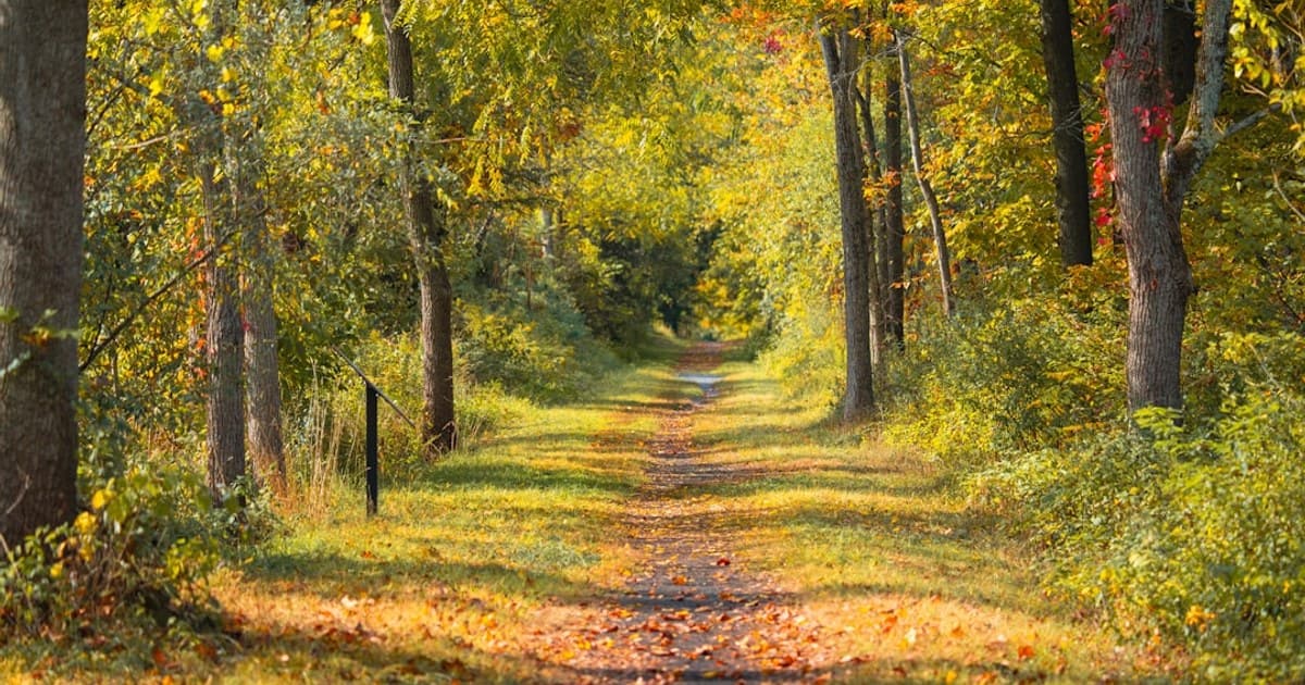 Rail Trail at the start of fall.